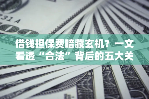 武汉借钱担保费暗藏玄机？一文看透“合法”背后的五大关键陷阱