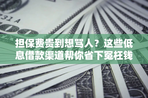 武汉担保费贵到想骂人？这些低息借款渠道帮你省下冤枉钱