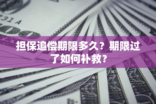 武汉担保追偿期限多久？期限过了如何补救？