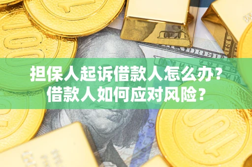 武汉担保人起诉借款人怎么办？借款人如何应对风险？