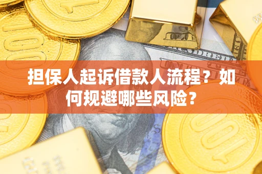 武汉担保人起诉借款人流程？如何规避哪些风险？