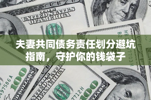 武汉夫妻共同债务责任划分避坑指南，守护你的钱袋子