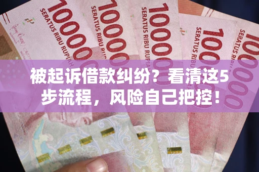 武汉被起诉借款纠纷？看清这5步流程，风险自己把控！