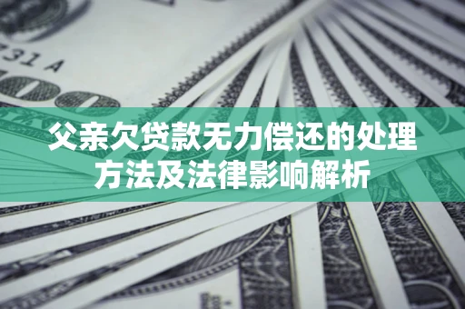 武汉父亲欠贷款无力偿还的处理方法及法律影响解析