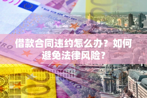 武汉借款合同违约怎么办？如何避免法律风险？
